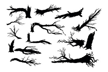 Broken tree isolated silhouettes. Black template of destroyed forest. Fallen wood. Branches and trunks after storm