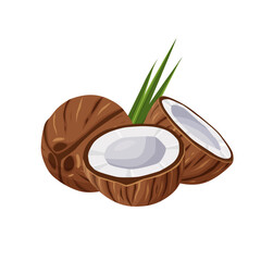 Wall Mural - Coconuts and coconut half with leaves isolated on a white background. Vector illustration cartoon flat coconut icon isolated on white background.