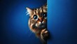 frightened cat cautiously peeks from a corner, vivid blue hue amplifying the tense moment