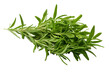 Lush Savory Herb: Fresh Green Savory Sprigs Isolated on White - Seasoning Herbs, Culinary Enhancements, Organic Cooking, Gourmet Ingredients, Healthy Flavoring, Kitchen Essentials, Aromatic Leaves