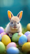 easter bunny and eggs, easter bunny with eggs, easter
