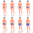 Men underwear on body set. Different types male underpants, popular models presentation, front view, everyday clothes elements, strings, thong and bikini. Briefs and boxers. Vector concept