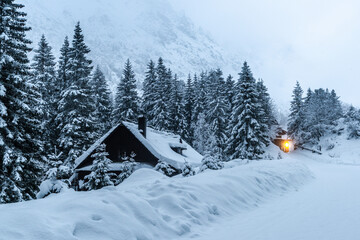 Wall Mural - Magical winter scene at Morskie Oko trial in Tatra Mountains, Poland at winter