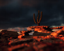 Cactus On Sandstone Rock Formation At Sunset Under Dark Cloudy Sky.