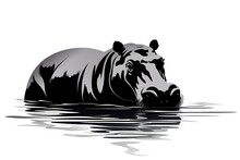 Illustration Of A Hippopotamus