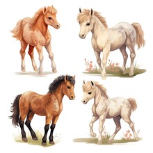 Set Of Cute Horses On A White Background