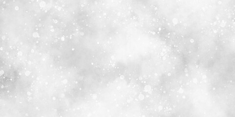 Wall Mural - winter snowfall in the winter season with particles, sunshine or sparkling lights and glittering glo