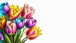 Wielokolorowe Tulipany na białym tle z miejscem do wklejenia. Generative AI