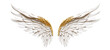 Gold fantasy feather wings - pair of gold angelical wings - isolated transparent PNG background - gold wing