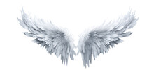 White Fantasy Feather Wings - Pair Of White Angelical Wings - Isolated Transparent PNG Background - White Wing