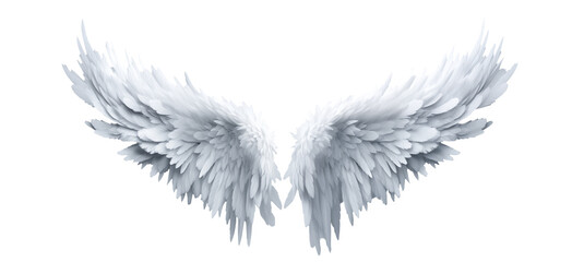 white fantasy feather wings - pair of white angelical wings - isolated transparent png background - 
