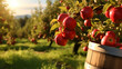 Apple barrel in the farm and harvest season with sunshine and vanilla sky. Created using generative AI.
