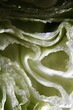 Vista interior de una lechuga repollada como ingrediente de comidas saludables, con curvas y ondas con luces y sombras, forman un original diseño abstracto para fondos