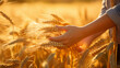 the girl runs her hand over the tall grass and touches it while walking through the fields close up
