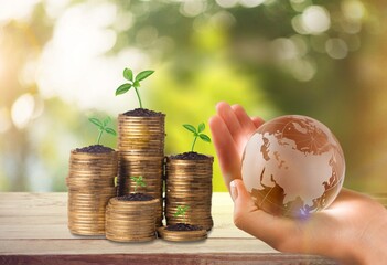 Canvas Print - Globe with stack of coins and plants growing on top.