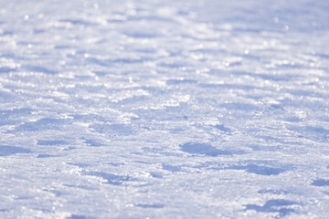 Wall Mural - Snow crust surface on a sunny day, natural background photo