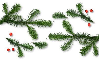 Wall Mural - christmas green tree fir branch set
