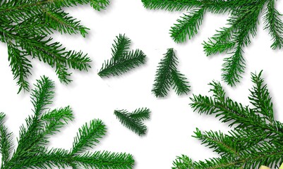 Wall Mural - christmas green tree fir branch set
