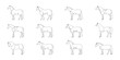 Various types of horse rugs, editable vector