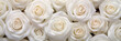 pattern of beautiful blooming white roses