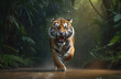 tiger's attack, Realistic images of wild animal attacks