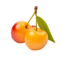 fresh organic rainier cherry cut in half sliced with leaves isolated on white background with clipping path