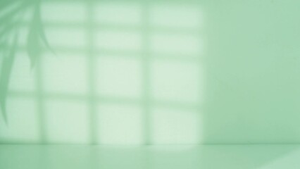 Poster - Backdrop display with window and palm shadow