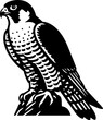 Peregrine Falcon icon 15