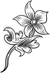 floral ornament handdrawn illustration