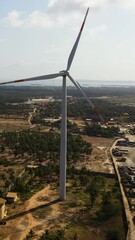 Wall Mural - Top view of group of windmills for renewable electric energy production. Kalpitiya, Sri Lanka. Wind Power Station.