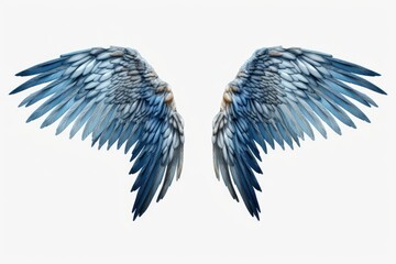 Poster - Blue and white wings on a white background. Suitable for various creative projects