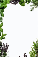Poster - A variety of herbs arranged in a circle. Can be used to depict herbal medicine, natural remedies, or cooking ingredients