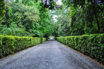 Wall Mural - Vatican gardens in center of Rome, Italy