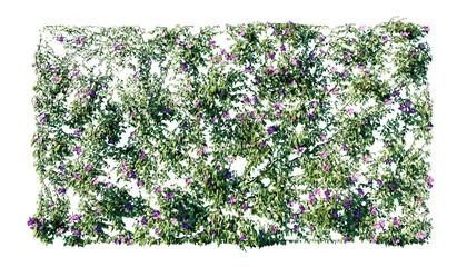 Wall Mural - beautiful ivy wall in green and flower