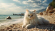 angora cat sitting on the beach pet traveling concept