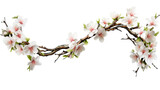 Fototapeta  -  Tree branch flower isolated on a transparent background.
