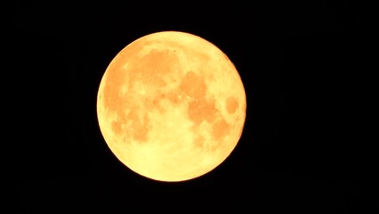 Wall Mural - A glowing golden huge full moon seen from earth through the atmosphere against a starry night sky. A large full moon moves across the sky, the moon moving from the left frame to the right.