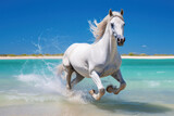 Fototapeta Konie - White horse run on the beach side