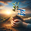 Israeli child hand holding a  pot with a young olive sapling planted ,  with the flag of Israel. In the background, a gentle sunrise