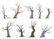 Old dead tree set, rough spooky bark, dry naked branch silhouette. Vector scary forest, leafless trunk. Nature ecology problems concept. Winter or autumn season plants icon isolated