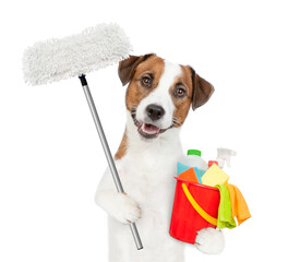 Poster - Cleaning concept. Jack russell terrier puppy holds bucket with washing fluids and mop in paws. isolated on white background