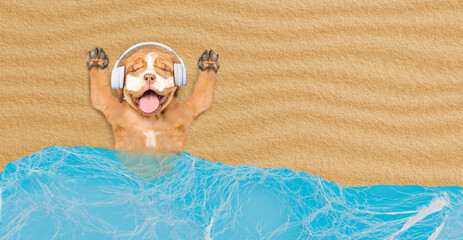 Poster - Funny Mastiff puppy covered with suntan lotion or sunblock relaxing at sunny beach and listening music with earphones. Empty space for text