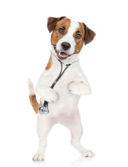 Sticker - Smart jack russell terrier wearing like a doctor with stethoscope on his neck looks at camera. isolated on white background