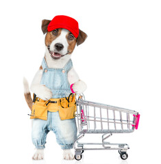 Poster - Funny Jack russell terrier puppy wearing red cap and denim overalls with tool belt holds the shopping cart. isolated on white background
