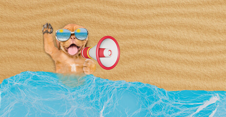 Poster - Happy Mastiff mastiff puppy wearing mirrored sunglasses lying at sunny beach and screaming into a megaphone. Empty space for text