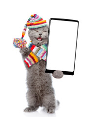 Poster - Happy cat wearing warm knitted hat with pompon and woolen scarf holding smartphone with white blank screen in it paw. Isolated on white background