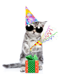 Aufkleber - Cute cat wearing sunglasses and party cap holds exploding firecracker. Isolated on blue background
