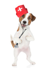 Poster - Funny jack russell terrier wearing like a doctor with stethoscope on his neck stands on hind legs. isolated on white background