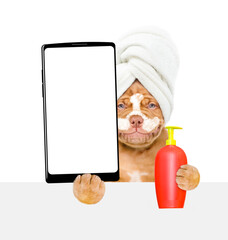 Poster - Mastiff puppy with towel on it head, with cream on it face holds bottle of fleas shampoo and big smartphone with white blank screen in it paw. isolated on white background
