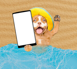 Poster - Funny Mastiff puppy lying at beach with suntan lotion or sun block on it face showing big smartphone with white blank screen in it paw